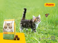 Josera kitten | غذای خشک کیتن جوسرا - اورجینال + با ضمانت اصالت