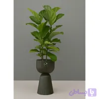 گلدان لوکس لیراتا