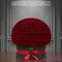 باکس گل رز قرمز 500 شاخه