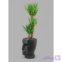 گیاه یوکا با گلدان طرح چهره