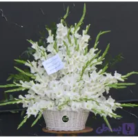 سبد گل سپید رخ