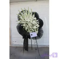 تاج گل سایه‌ی سپید