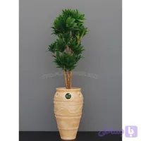 گلدان سفالی دراسنا کامپکت