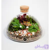 تراریوم نفس خاک