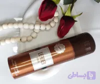 اسپری خوشبو کننده Leader Brown 200 ml