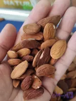 مغز بادام دیم استهبان