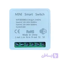 رله هوشمند وای فای دو پل (2Gang WIFI Switch)