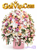 باکس گل رز طبیعی هدیه‌ای لوکس، عاشقانه و ماندگار (کد THFKV)