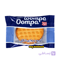 کلوچه 50 گرمی نادری با مغز نارگیل