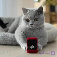 انگشتر لووه آبکاری نقره