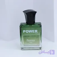 عطر مردانه POWER PULSE PEGASUS پاور پالس 25میل