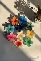 گیره مو پلومریا