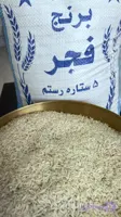 برنج فجر نور آباد