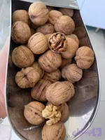 گردو بواناتی چرب پر مغز