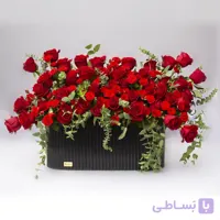باکس گل رز قرمز کد 23554 | باختر