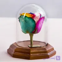 باکس شیشه ای گل رز جاودان هفت رنگ کد 2460|باختر