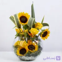 باکس شیشه ای گل-تنگ شیشه ای کد 2440 |باختر