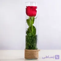 خرید باکس شیشه ای گل رز هلندی قرمز کد 1470|گل هدیه|باختر