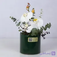 باکس گل ارکیده کد 4020 +ارسال 3 ساعته |باختر