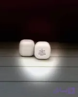 کرم ماهینِ شب