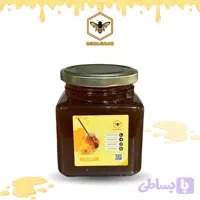 عسل دیابتی 450 گرمی