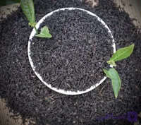 چای کله مورچه ای( ساچمه ای)