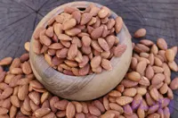 مغز بادام درختی ممتازشور