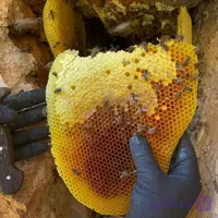 عسل با موم درمانی