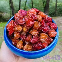 آلو جنگلی (کد MXZJR)