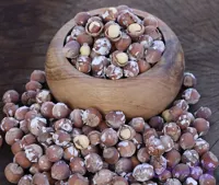 فندق محلی گیلان