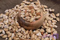 بادوم درختی پوست کاغذی ممتاز(منقا)