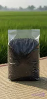 چای ممتاز بهاره لاهیجان نیم کیلویی