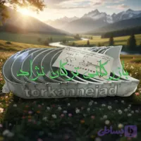 یاتاقان اصلی آمیکو کامیون و کامیونت