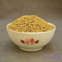 تخم گشنیز (کد JZPQI)