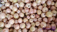 جمبو تازه بوشهر | میوه محلی و ارگانیک