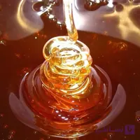 عسل کنار (سدر) طبیعی