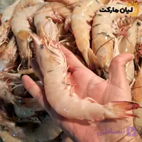 میگو دریایی بوشهر سایز 15-11 (شاه‌میگو درشت) | وزن متغیر ۱۰ تا ۳۰ کیلویی