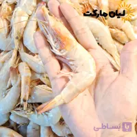 میگو سرتیز دریایی بوشهر سایز 100-120 (میگو ریز پلویی) | وزن متغیر ۱۰ تا ۳۰ کیلویی