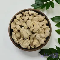 زنجبیل قلم