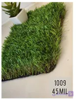 چمن مصنوعی 1009