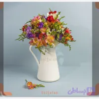 پیاز گل فریزیا رنگبندی الوان (پک سه عددی)