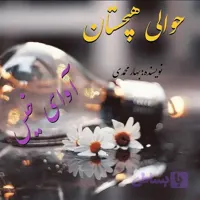 رمان حوالی هیچستان اثر بهار محمدی
