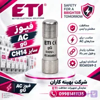 فیوزسیلندری gG14×51 25A