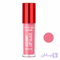لیپ گلاس گلدن رژ 204 سری Gleamy Lip Glaze