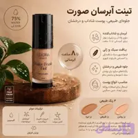تینت آبرسان