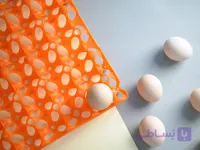 شانه حمل تخم مرغ پلاستیکی