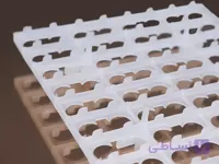 شانه کبک