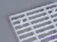 شانه بلدرچین