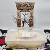 عسل طبیعی ۱ کیلویی