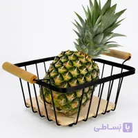سبد میوه ساین مدل مربع